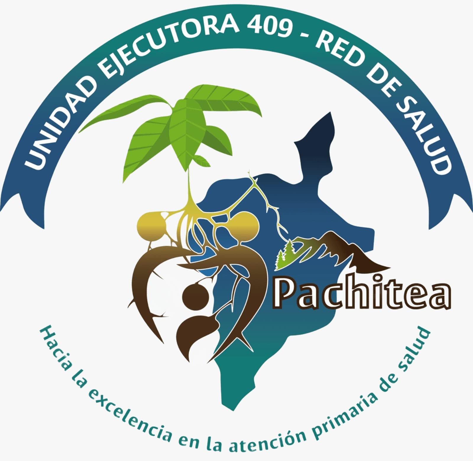 Red de Salud Pachitea